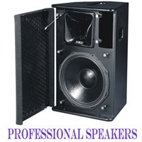 PROFESSIONAL SPEAKERS